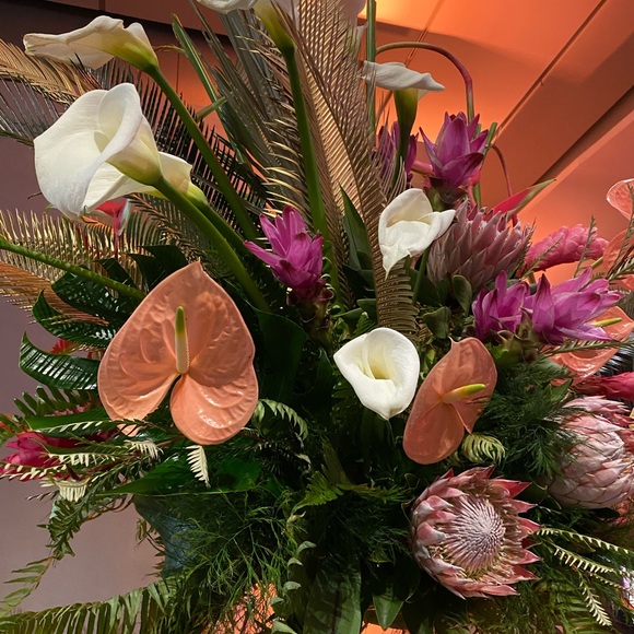 Meet your Posher, Lauren - Picture 1 of 1